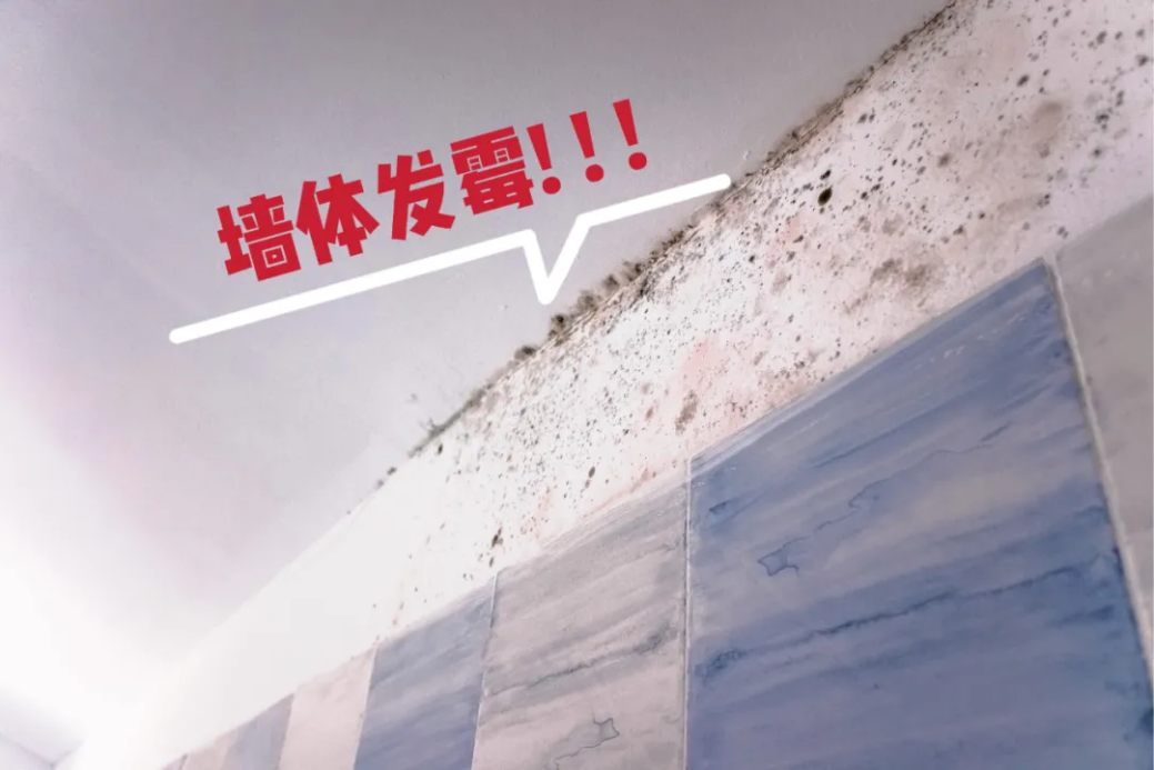 墻面長霉斑怎么辦？東方雨虹三步幫你搞定